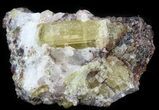 Apatite Crystal In Matrix - Durango, Mexico #43376-1